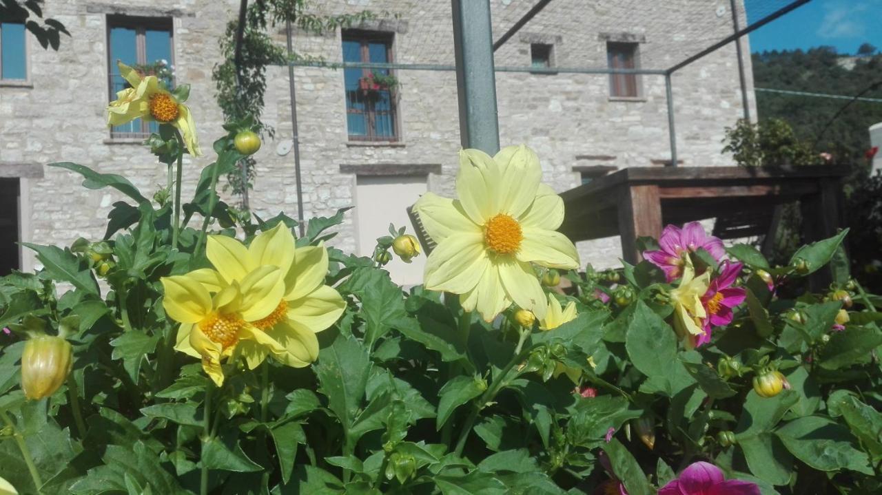 Casale Le Fontanelle Hotell Monte Grimano Terme Exteriör bild