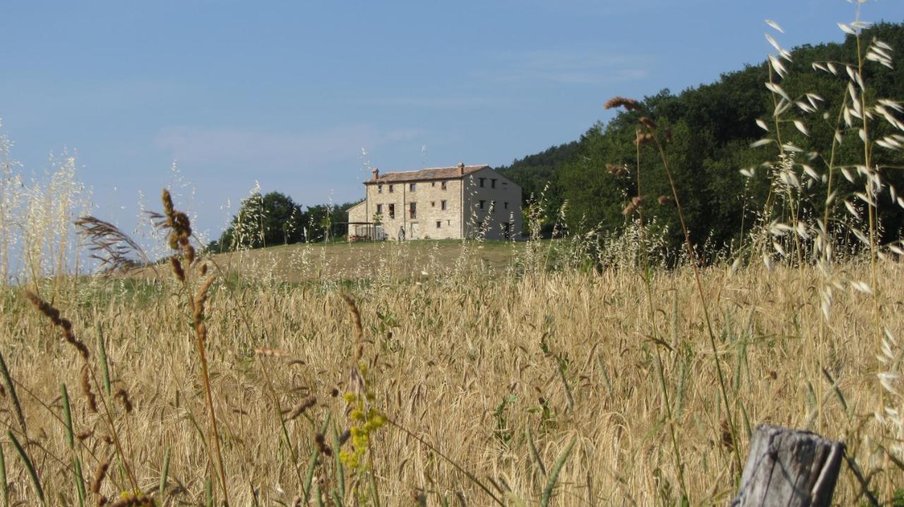 Casale Le Fontanelle Hotell Monte Grimano Terme Exteriör bild