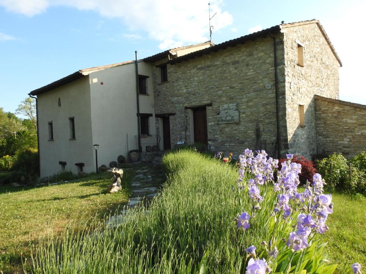 Casale Le Fontanelle Hotell Monte Grimano Terme Exteriör bild